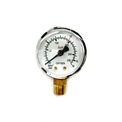 שעון 0-16 בר תבריג 1/8